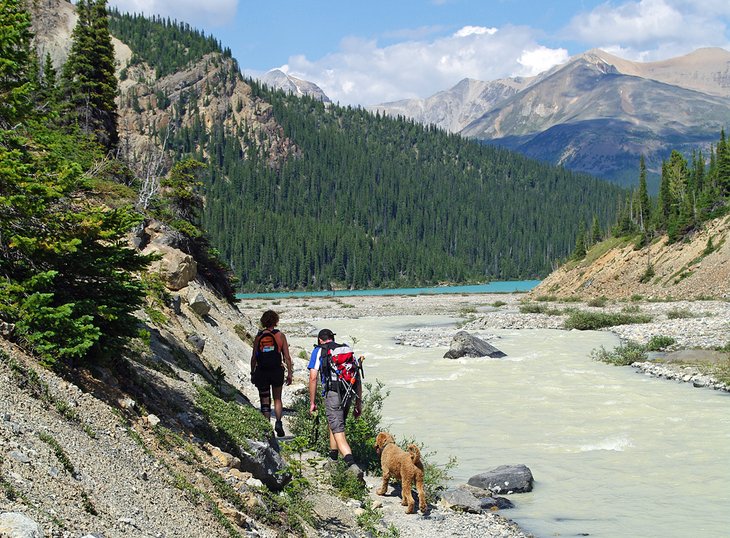Hikers on the trail to Bow Glacier Falls