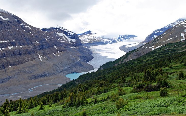 Saskatchewan Glacier from Parker Ridge