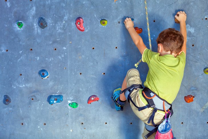 Young climber on the climbing wall