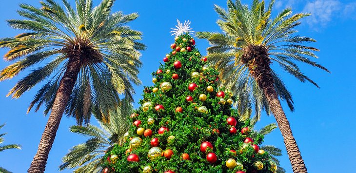 Christmas tree and palms in South Beach, Miami