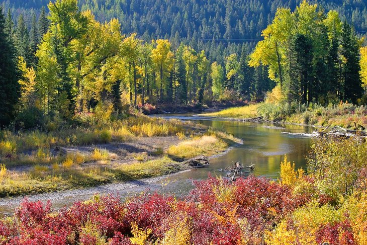 Fall colors along the Blackfoot River