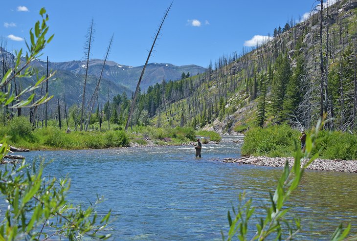Fly fishing on the South Fork Sun River