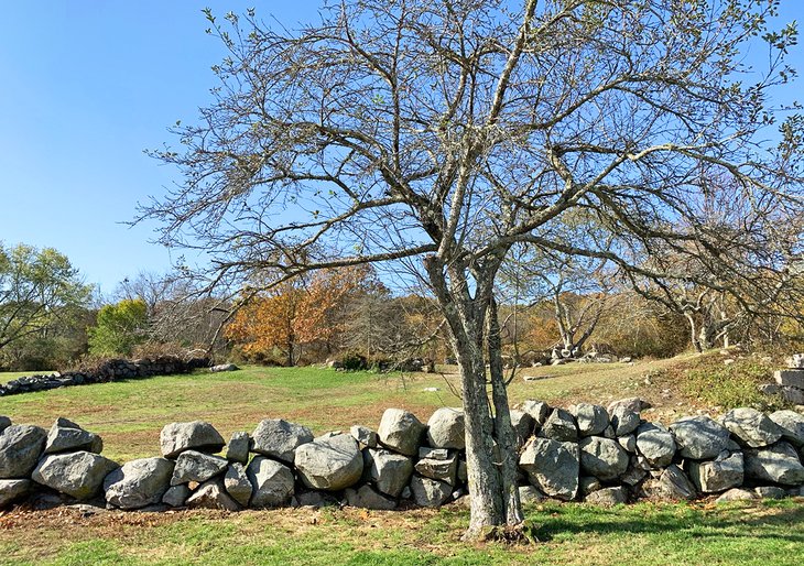 A lovely rock wall in Haley Farm State Park