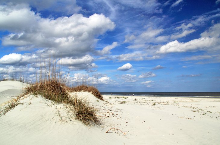 Beach on Cumberland Island