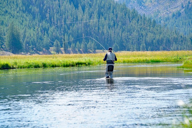 Fly fishing the Madison River