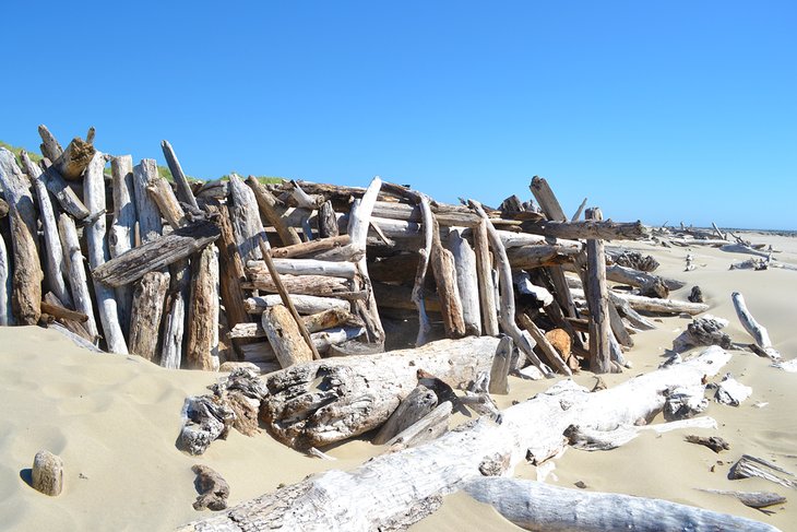 Massive driftwood log fort at Heceta Beach