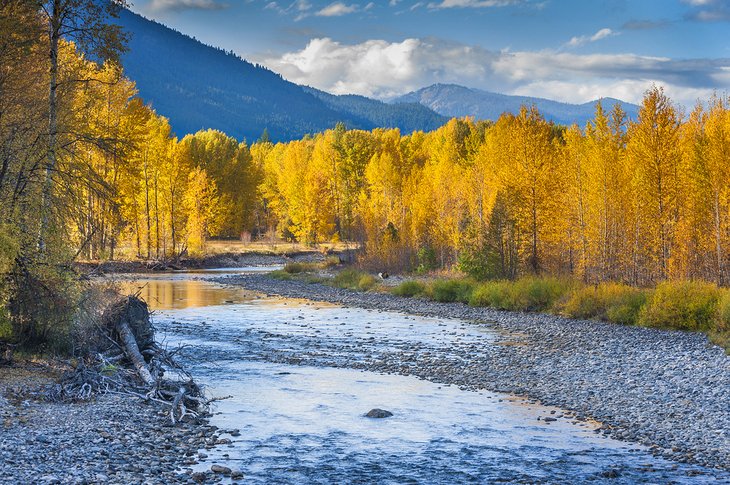 Fall on the Methow River