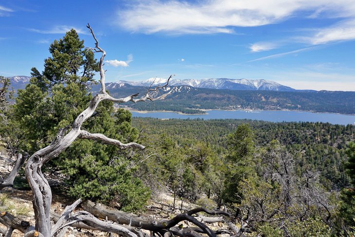 View of Big Bear Lake from the Pacific Crest Trail