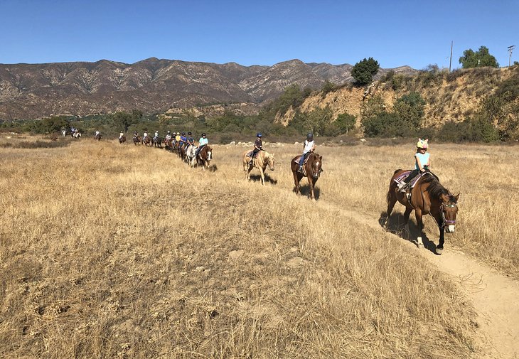 Ojai Valley Trail Riding Company