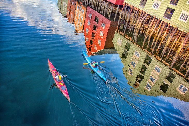 Kayakers exploring Trondheim