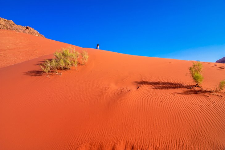 Orange sand dunes in Wadi Rum