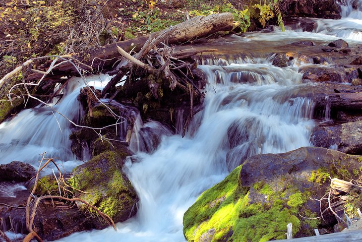 Lower drop of Lost Creek Falls