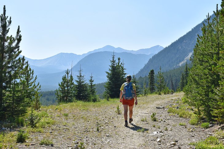 Hiking in the Pintler Mountains, off the Pintler Scenic Byway