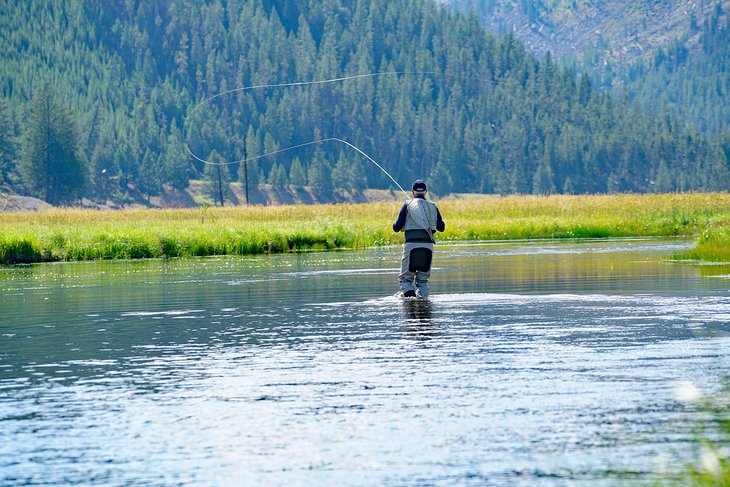 Fly fisherman on the Madison River