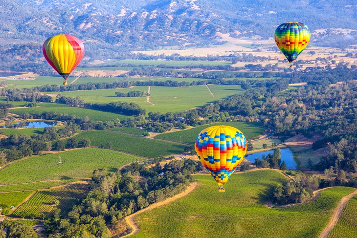 Hot air balloons over the Napa Valley