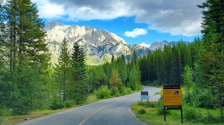 Peter Lougheed Provincial Park near Canyon Campground