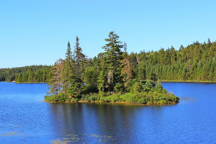 Island in Fundy National Park