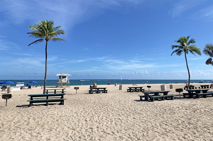 There's no shortage of picnic tables at Fort Lauderdale Beach Park