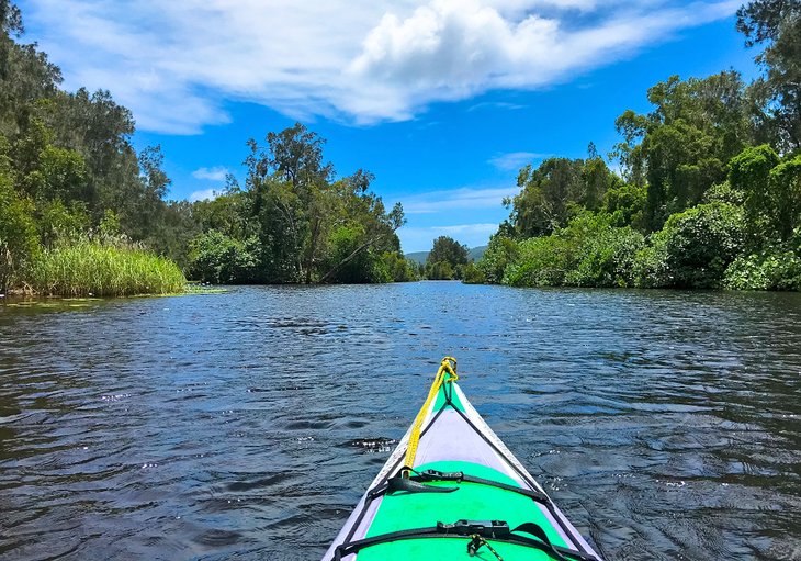 Kayak on the Upper Noosa River