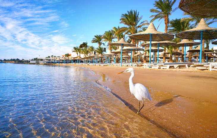 Resort beach in Hurghada