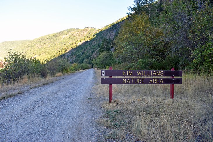 Kim Williams Nature Area
