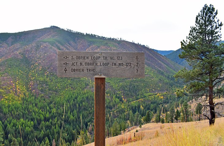 Sign on the O'Brien Creek Trail
