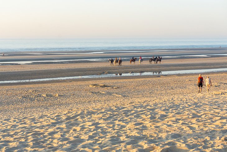 Horses on the Beach at Koksijde