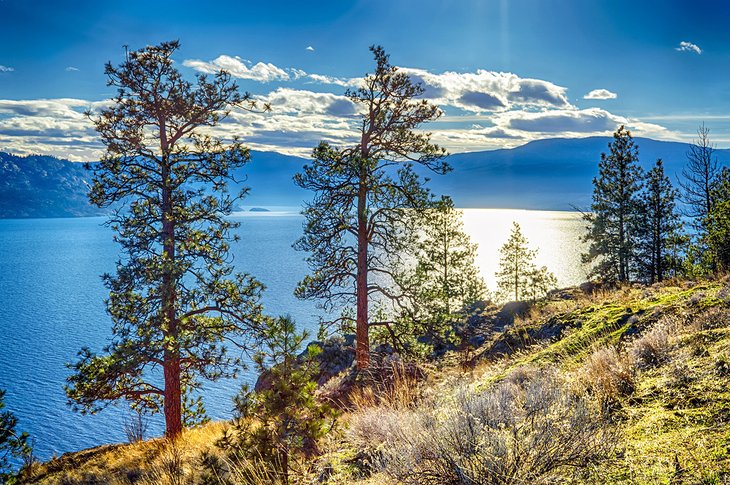 View of Okanagan Lake in the Okanagan Valley