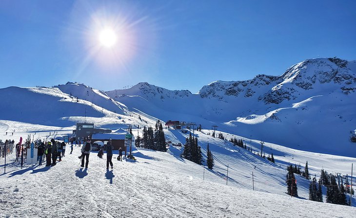 Whistler Mountain