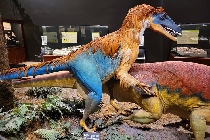 Colorful dinosaurs at the Museum of the Rockies