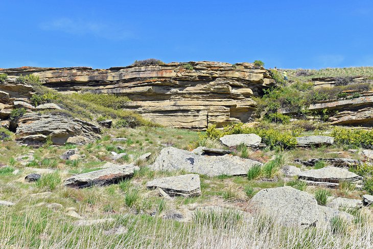 First Peoples Buffalo Jump State Park