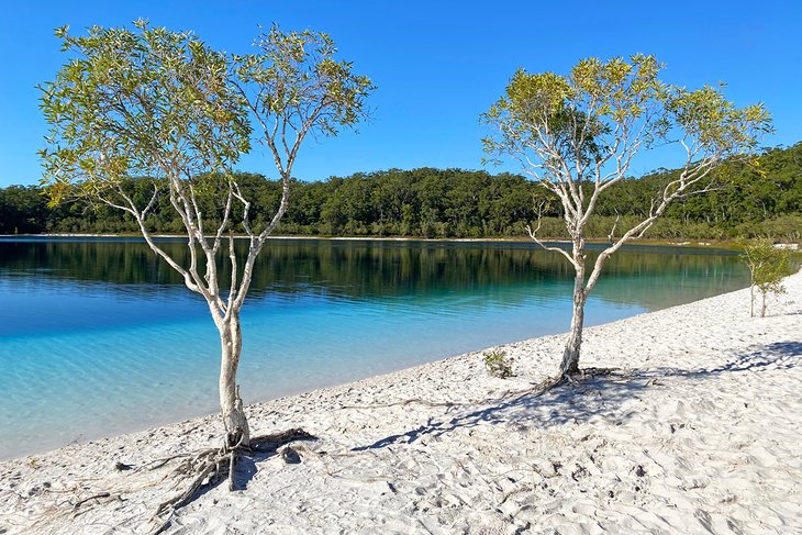 Lake McKenzie in the middle of K'Gari (Fraser Island)