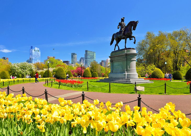 Blooming tulips and the George Washington Statue in the Boston Public Garden