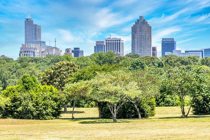  Dorothea Dix Park and the Raleigh skyline