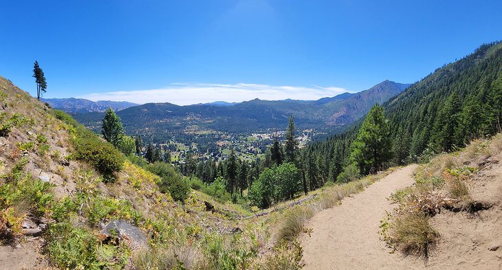 Icicle Ridge Trail panorama