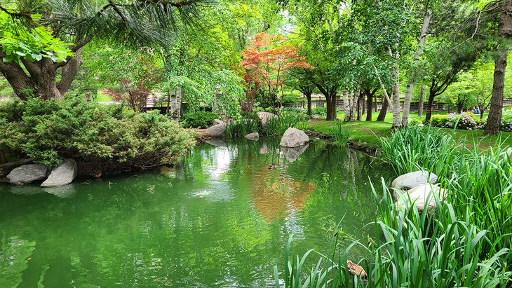 A pond in Kariya Park