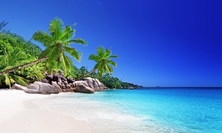 Praslin island, The Seychelles