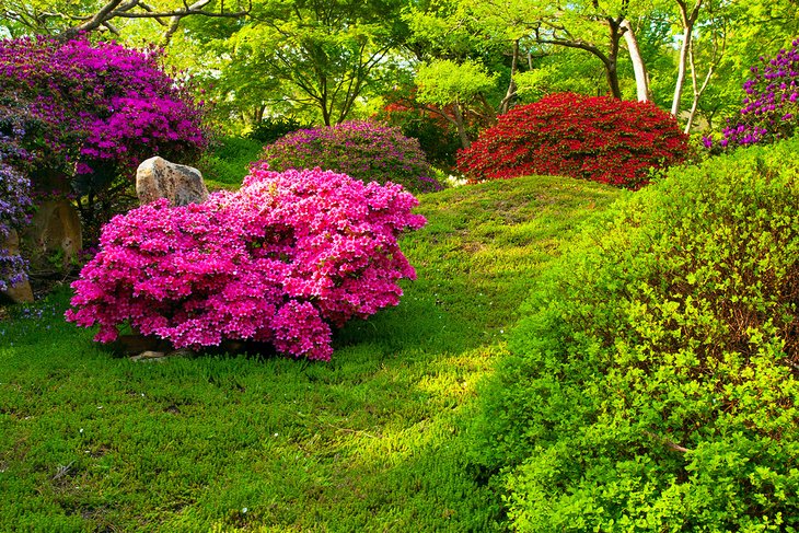 Japanese garden in the Botanicka Zarhrada