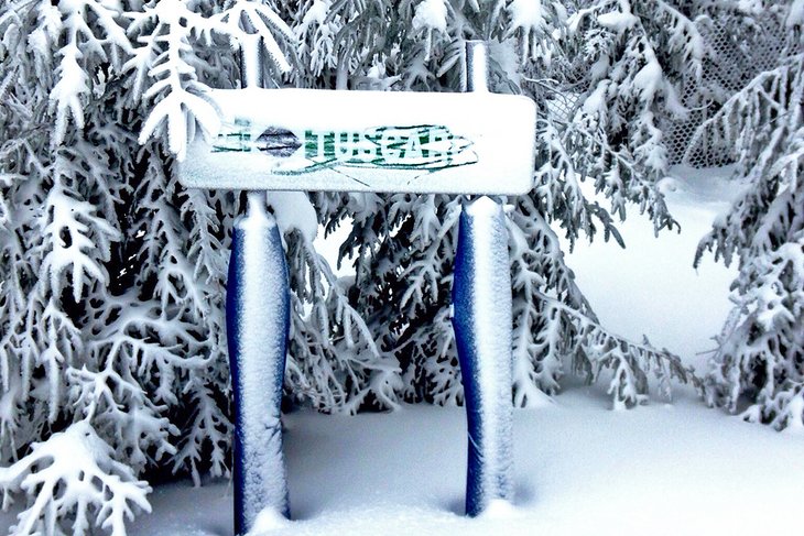Snow-covered trail sign at Elk Mountain Ski Resort