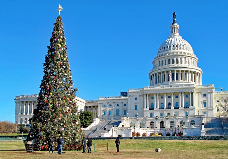 Christmas tree in front of the Capitol Building in Washington, D.C.