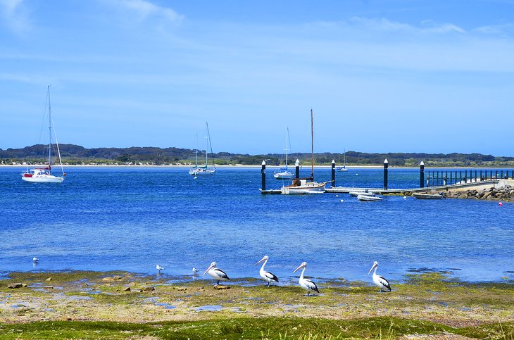 American River, Kangaroo Island