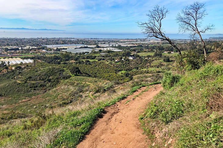 View over Carpinteria from the Franklin Trail