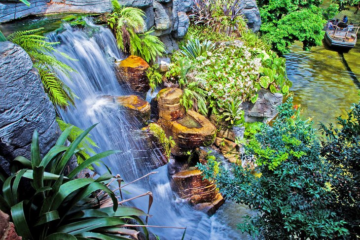 Tropical plants in the gardens of the Gaylord Opryland Resort