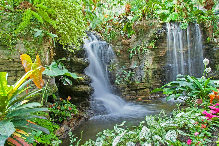 Waterfall and tropical gardens at the Gaylord Opryland Resort