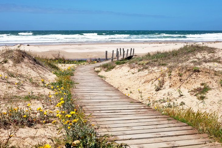 Path to Solari Beach in La Paloma, Uruguay