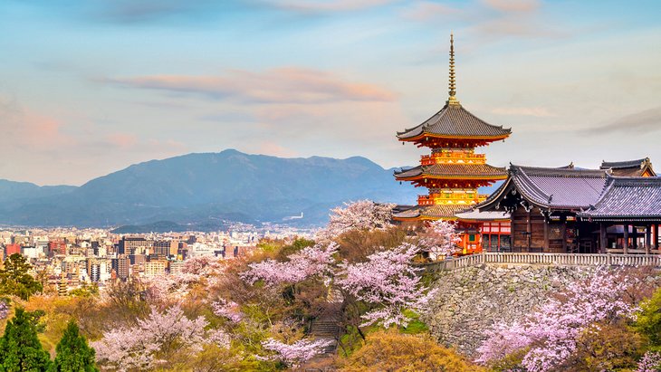 Kiyomizu-Dera temple during cherry blossom season