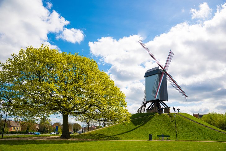 Kruisvest Park windmill