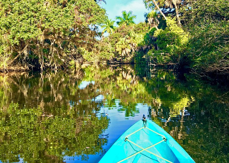 Kayaking through mangroves around Fort Myers