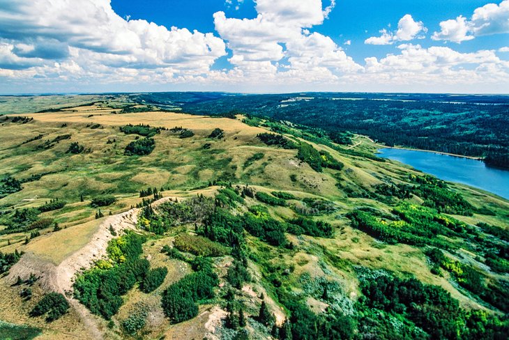 Aerial view of Cypress Hills Interprovincial Park