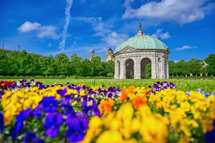 Colorful flowers blooming at the Hofgarten (Court Garden)
